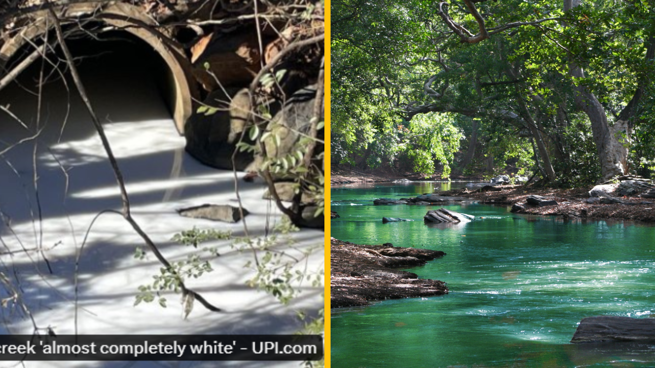 Rozliatie mlieka zmenilo potok Virginia Creek na takmer úplne biely