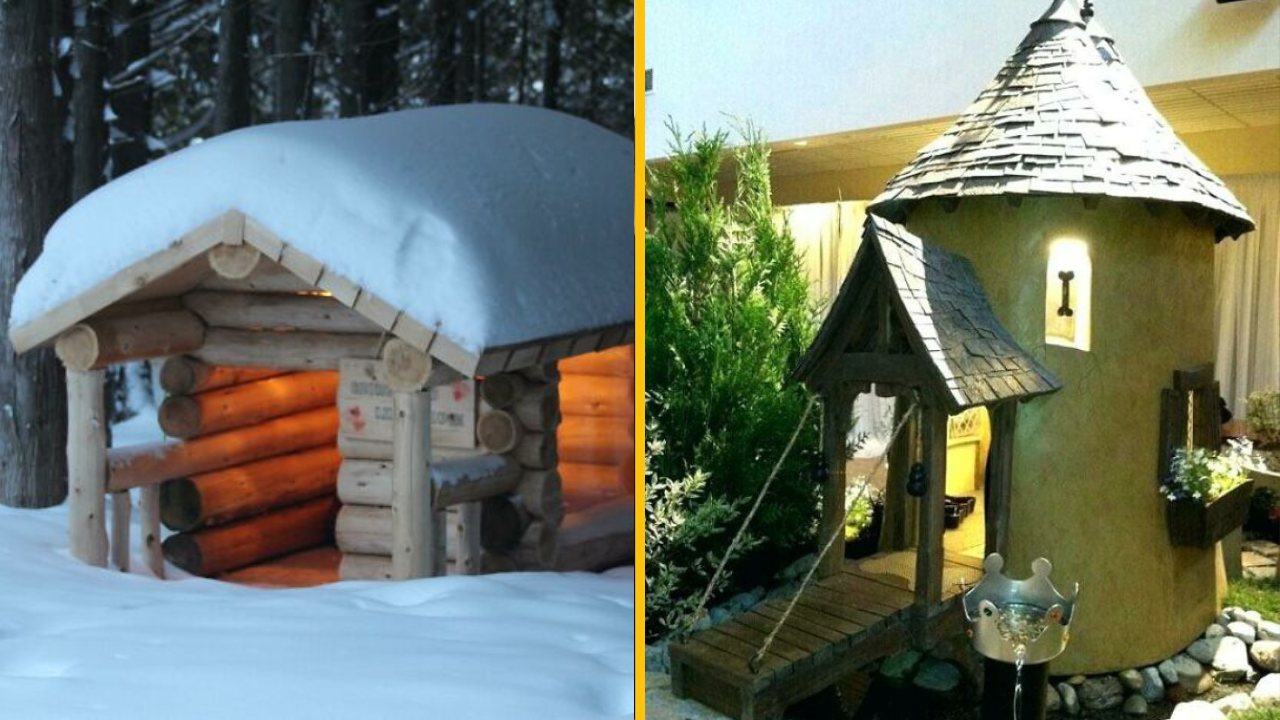 15 najlepších psích búd, na ktorých sa majitelia naozaj vybláznili