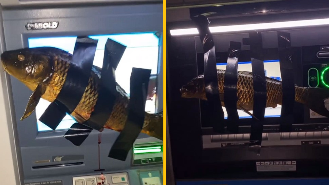 Rybací bandita prichytený! Tínedžera, ktorý mal lepiť ryby na bankomaty, chytila polícia