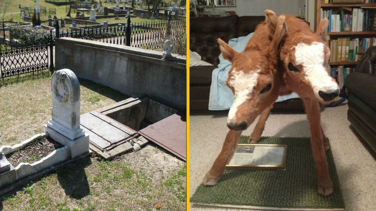 Tieto fotografie zachytávajú niečo neskutočné, no zároveň znepokojujúce (1. časť)