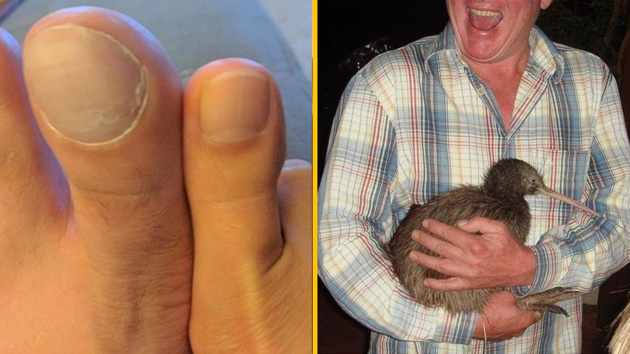 Ľudia sa rozhodli porovnať niektoré veci a z týchto fotografií sa vám zatočí hlava