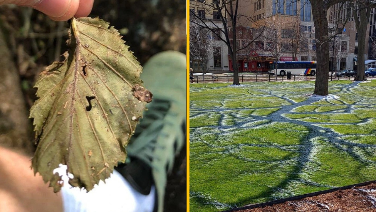 Tieto fotografie dokazujú, že svet niekedy dokáže byť perfektný