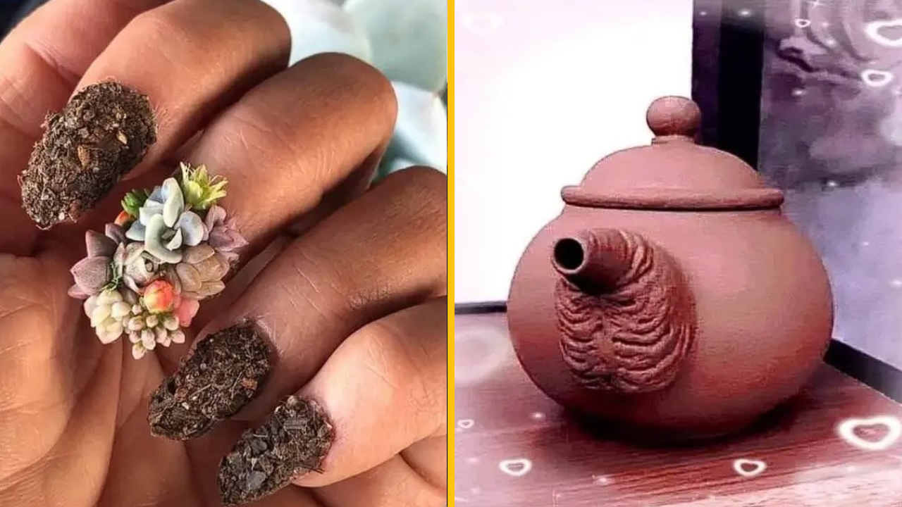 Tieto fotografie zobrazujú niečo, čo by určite nemalo existovať