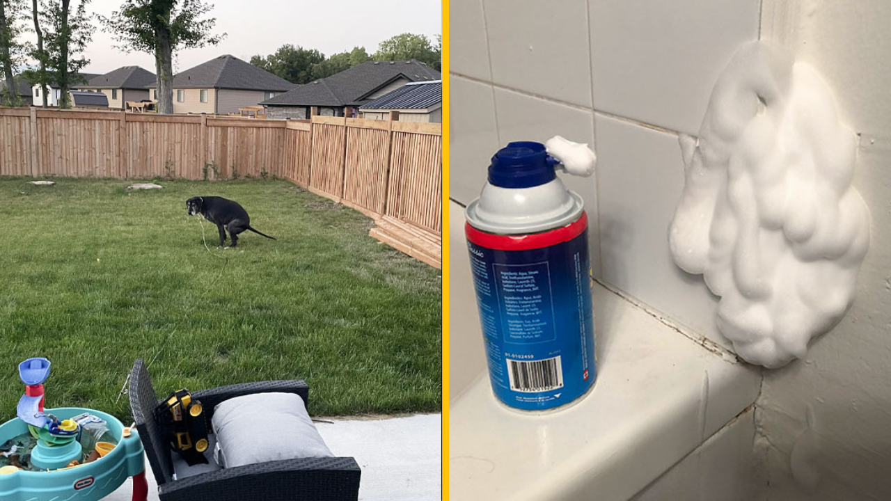 Týchto 10 partneriek so zmyslom pre humor by chcel mať každý chlap (2. časť)