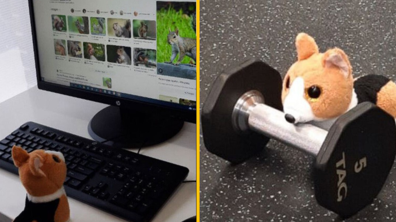 Chlapček zabudol v hoteli plyšovú hračku. Zamestnanci hotela vyriešili situáciu naozaj nečakaným spôsobom