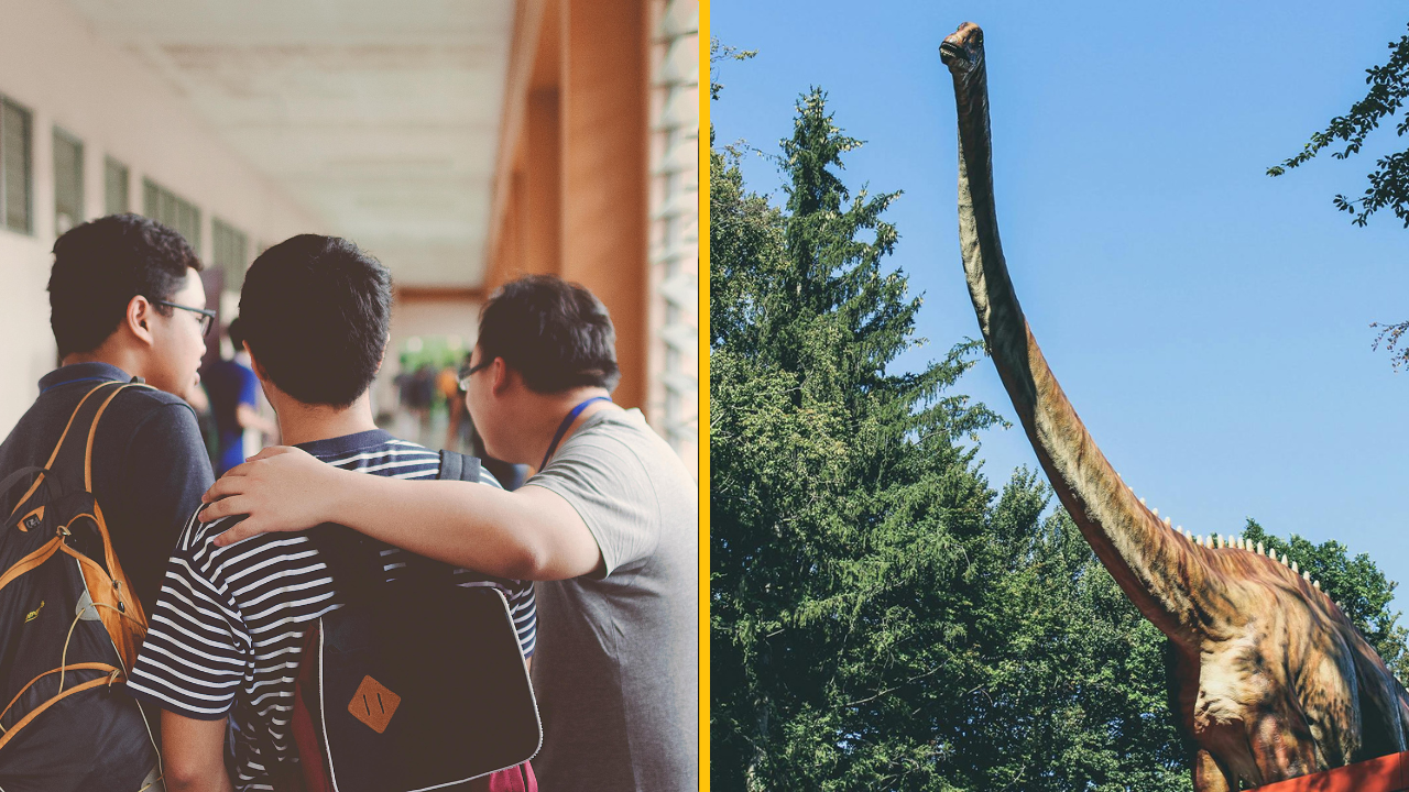 Tieto vety počúval v škole každý, no dávno už neplatia