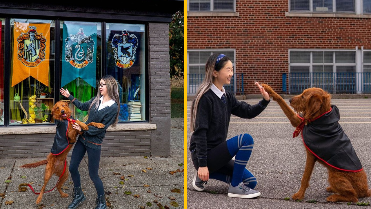 Psík menom Dobby nepočúva na bežné povely. Jeho majiteľka ho totiž naučila 15 kúziel z Harryho Pottera