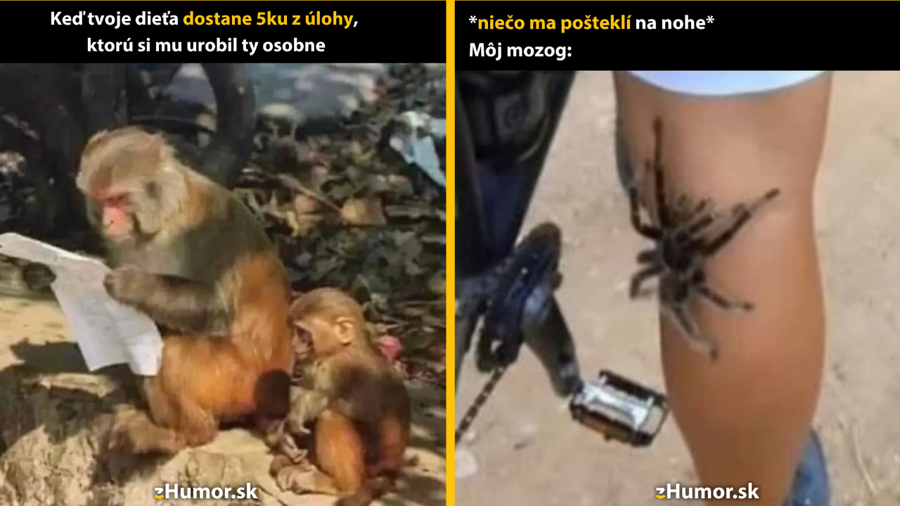 Zopár memečiek, ktoré vznikli, aby ti spríjemnili deň #1402: To určite nie je možné.