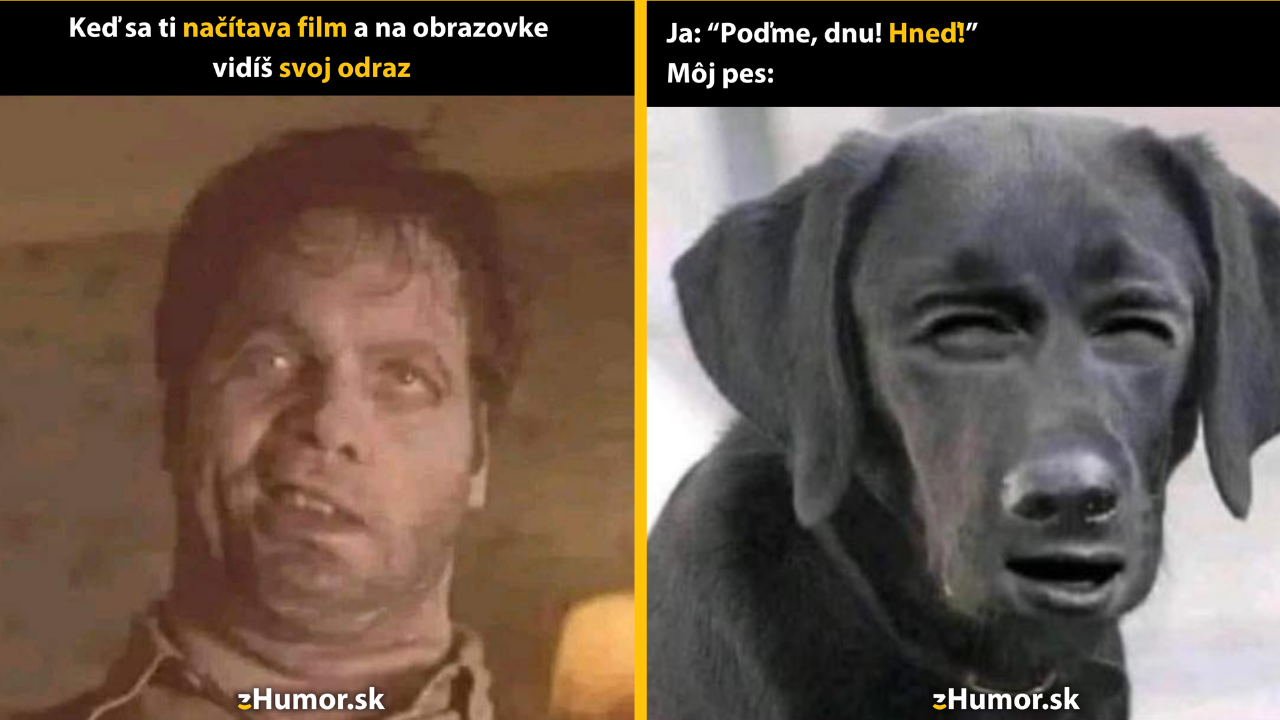 Zopár memečiek, ktoré vznikli, aby ti spríjemnili deň #1405: Takže toto som ja?