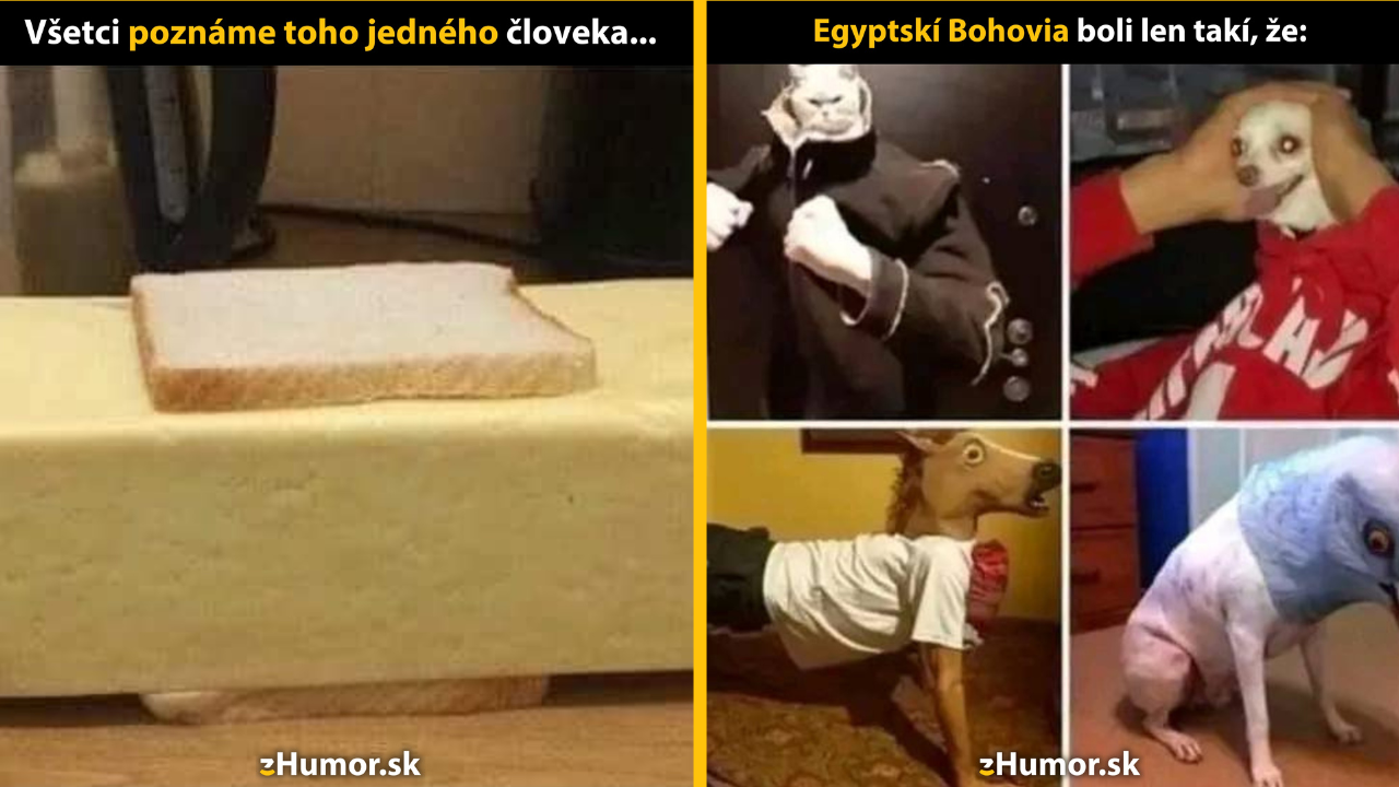 Zopár memečiek, ktoré vznikli, aby ti spríjemnili deň #1397: Syru nikdy nie je dosť.