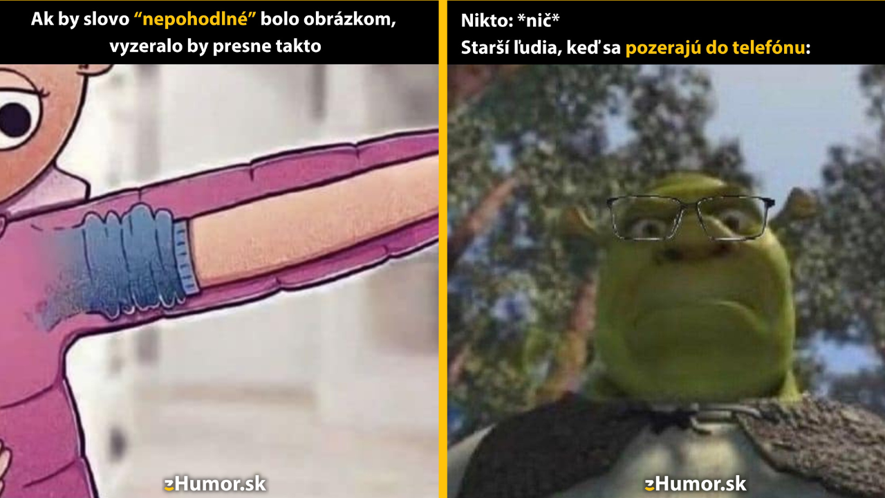 Zopár memečiek, ktoré vznikli, aby ti spríjemnili deň #1400: Presne takto si to predstavujem.