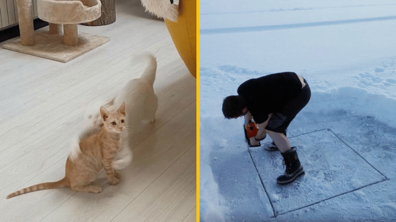 10 skvelých momentiek, ktoré ti spravia deň