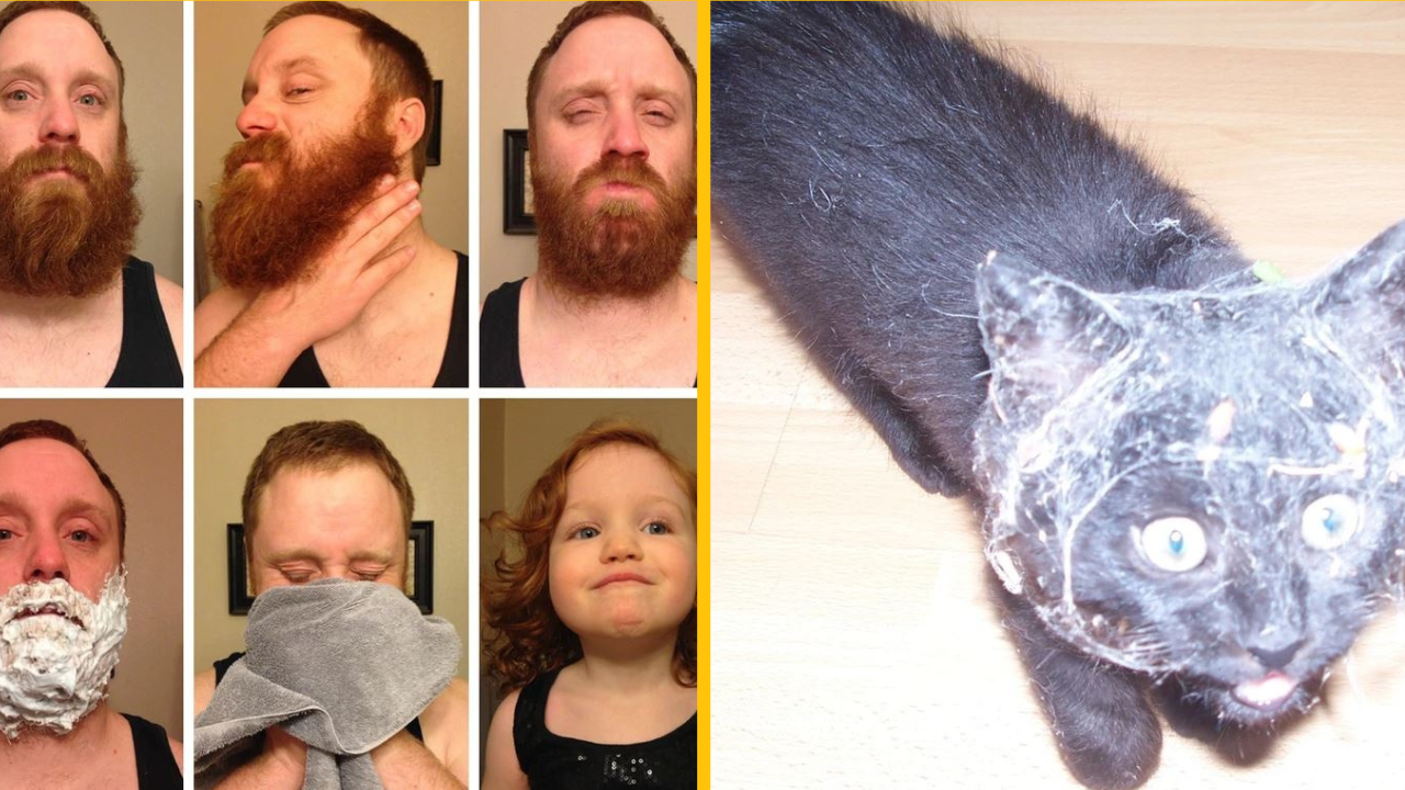 Magické fotografie, ktoré vás s istotou dokážu rozosmiať