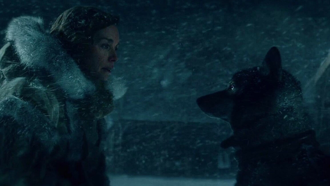 Ak milujete filmy so psami, máme pre vás ten najlepší. Prekonal Psiu dušu aj Beethovena (+ trailer)