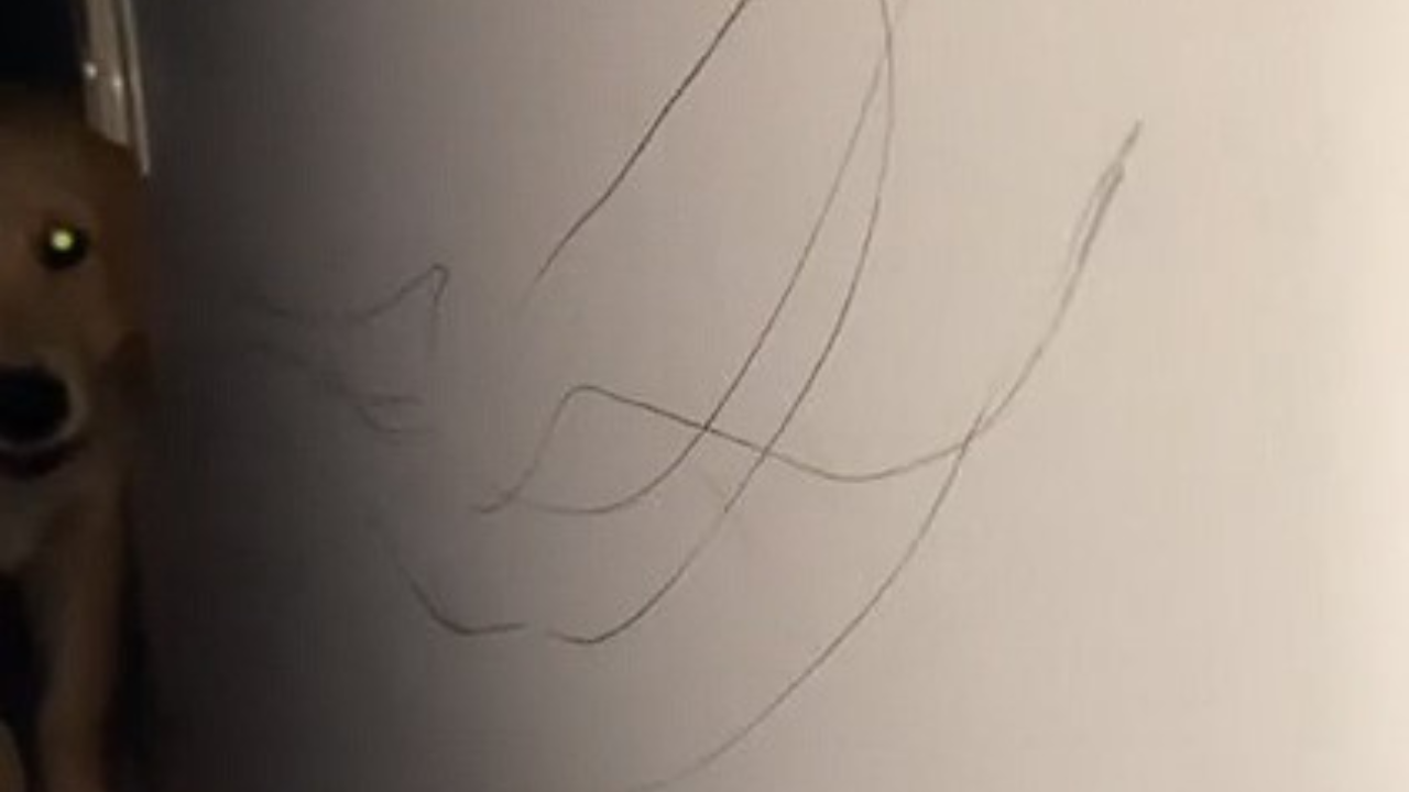 Ukázalo sa, že po stenách nekreslia len deti. Táto majiteľka na to prišla nie práve najlepším spôsobom