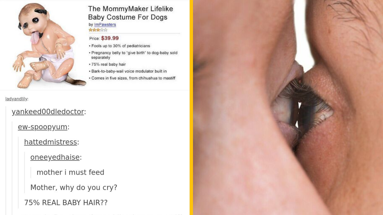 10 fotografií, na ktoré rozhodne nie je príjemný pohľad (1. časť)