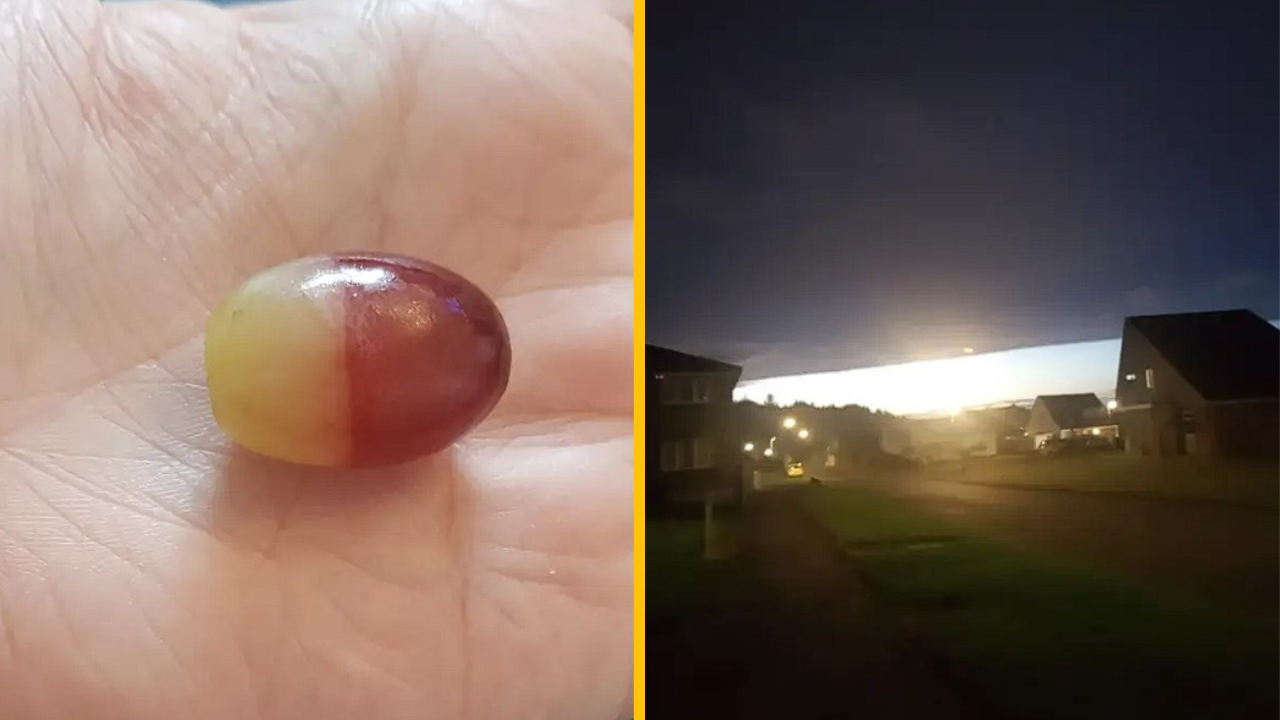 10 fotografií, ktoré dokazujú, že žijeme v Matrixe a niekedy dôjde k chybe