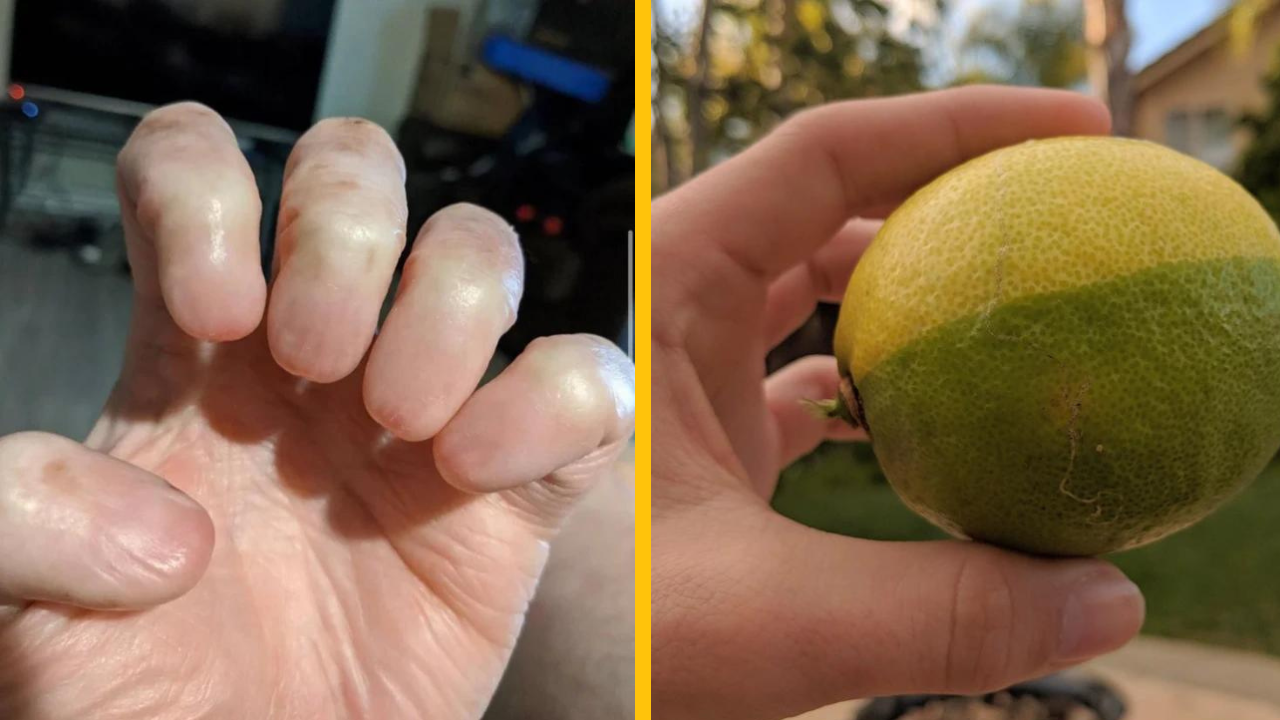 14 fantastických vecí, ktoré sa zdajú byť nereálne