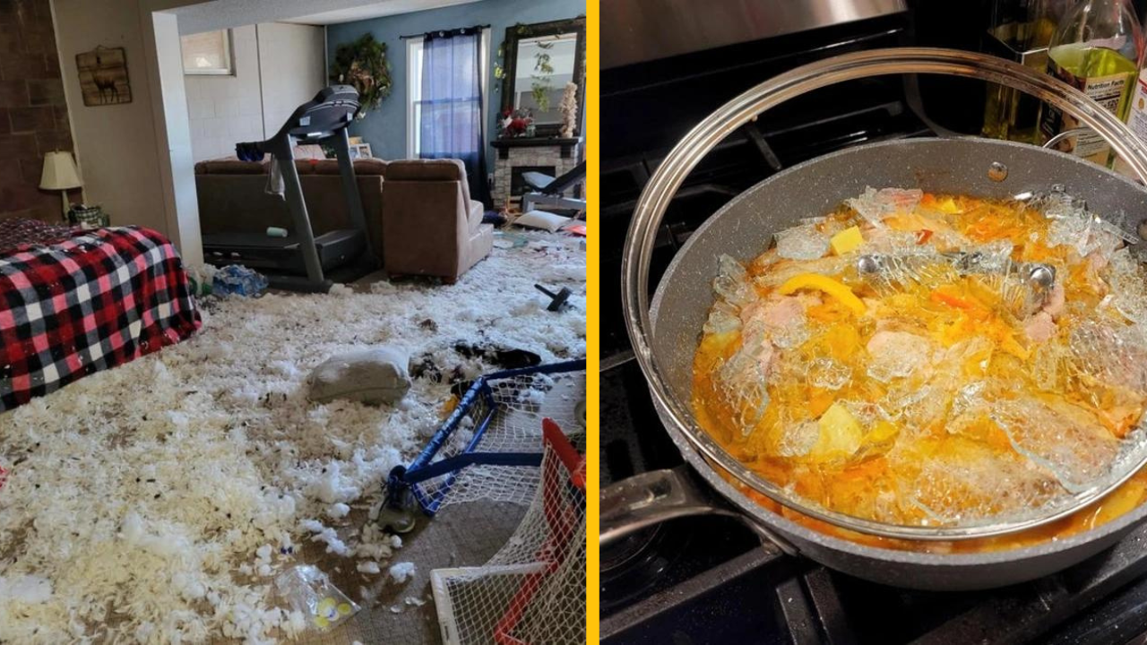 16 ľudí, ktorí by si vedeli predstaviť aj lepší deň