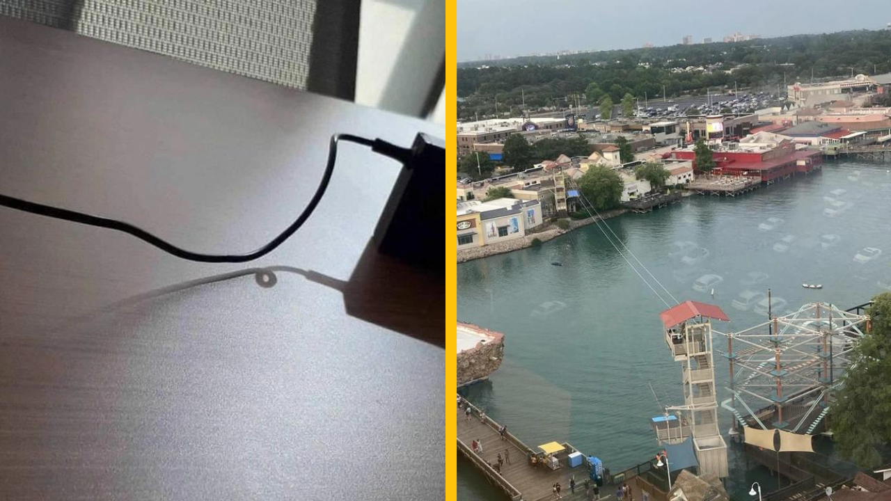 15 mätúcich fotiek z bežného života