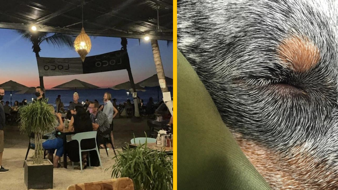 14 fotiek, ktoré dokážu naštartovať našu predstavivosť