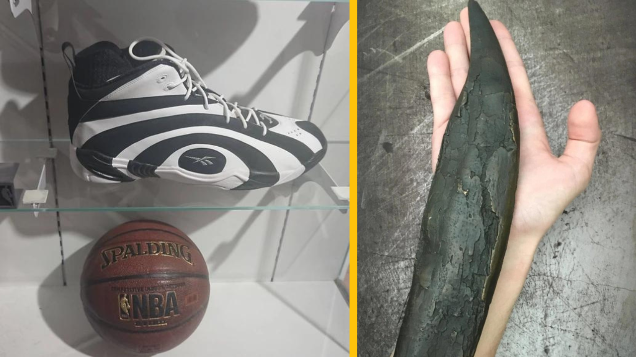 14 úžasných porovnaní vecí z bežného života