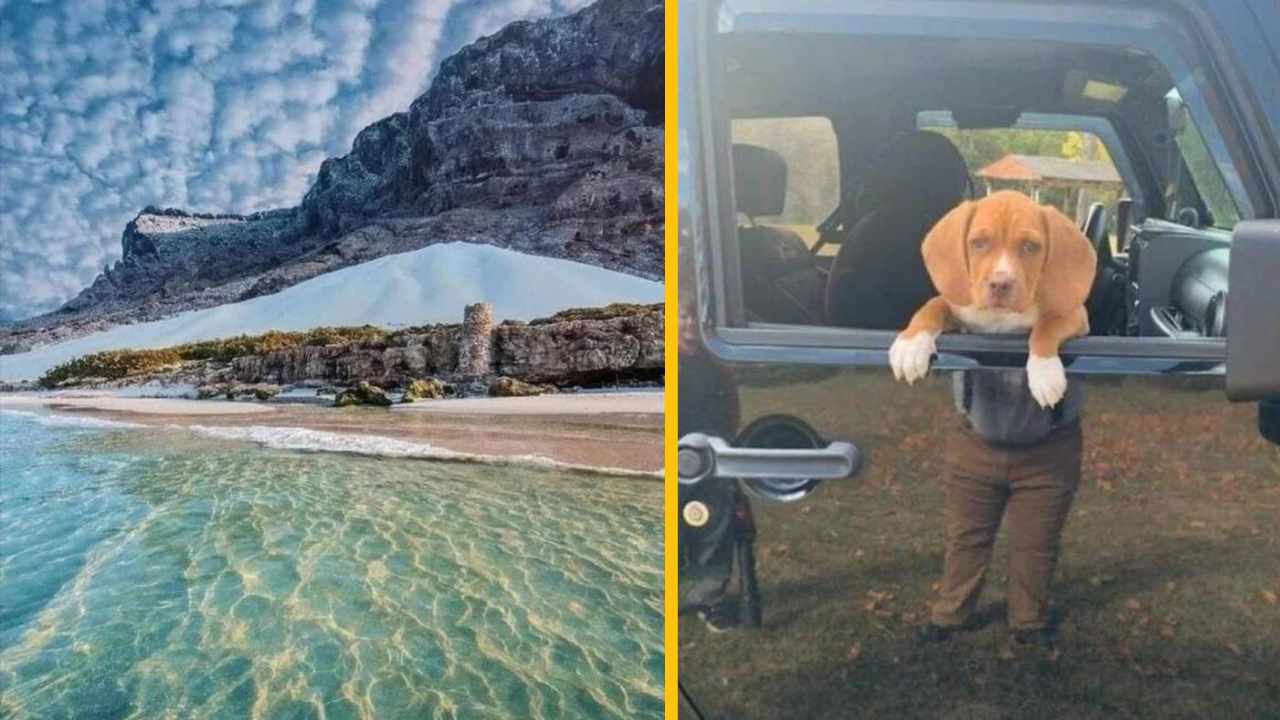 13 fotiek, na ktorých uvidíte niečo, čo tam v skutočnosti nie je