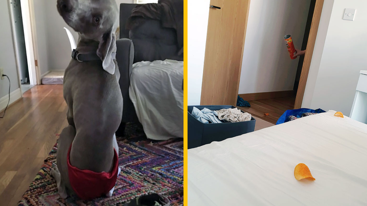 15 zábavných ženských polovičiek, s ktorými by chcel byť vo vzťahu každý