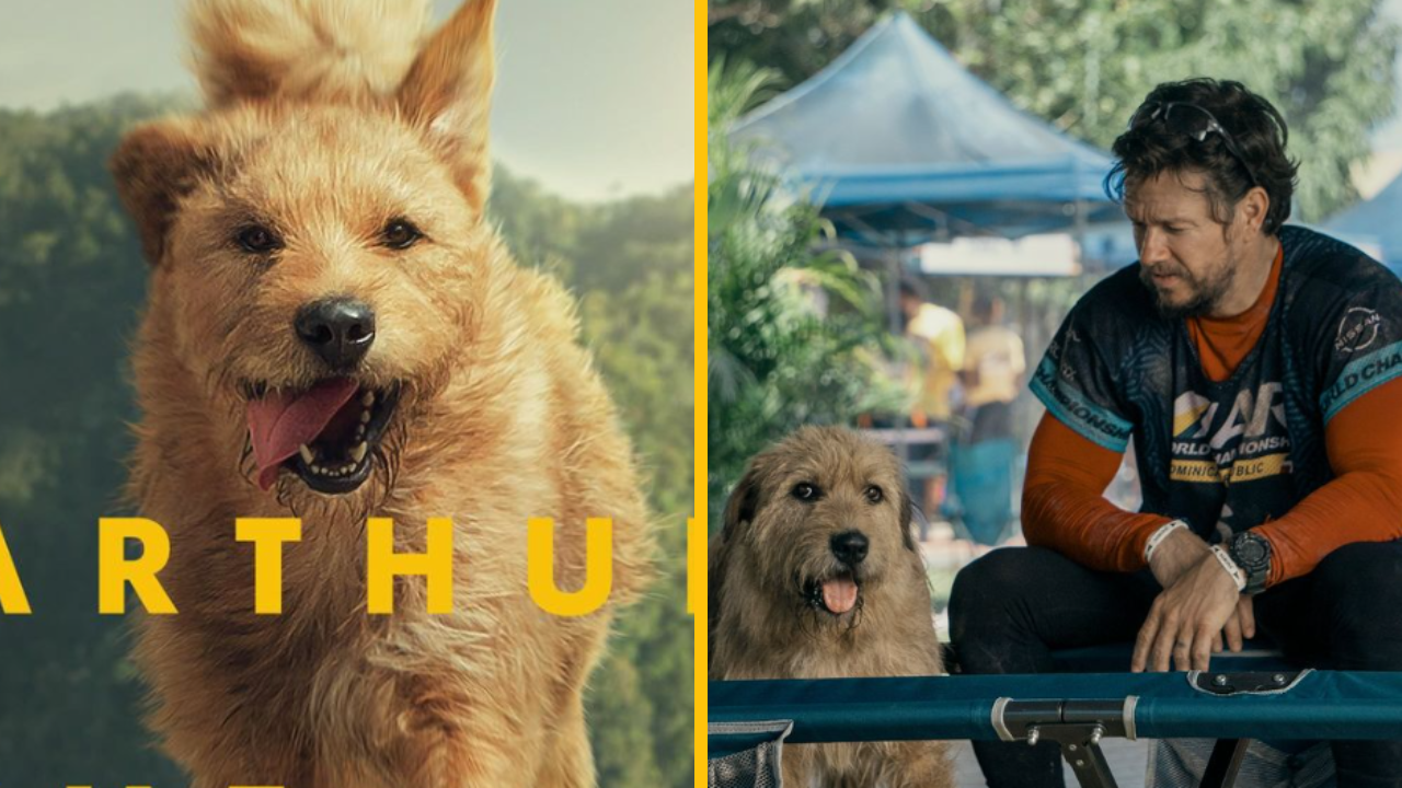 O filme „Arthur The King“ Mark Wahlberg hovorí, že pes naučil jeho charakter byť lepším človekom + TRAILER