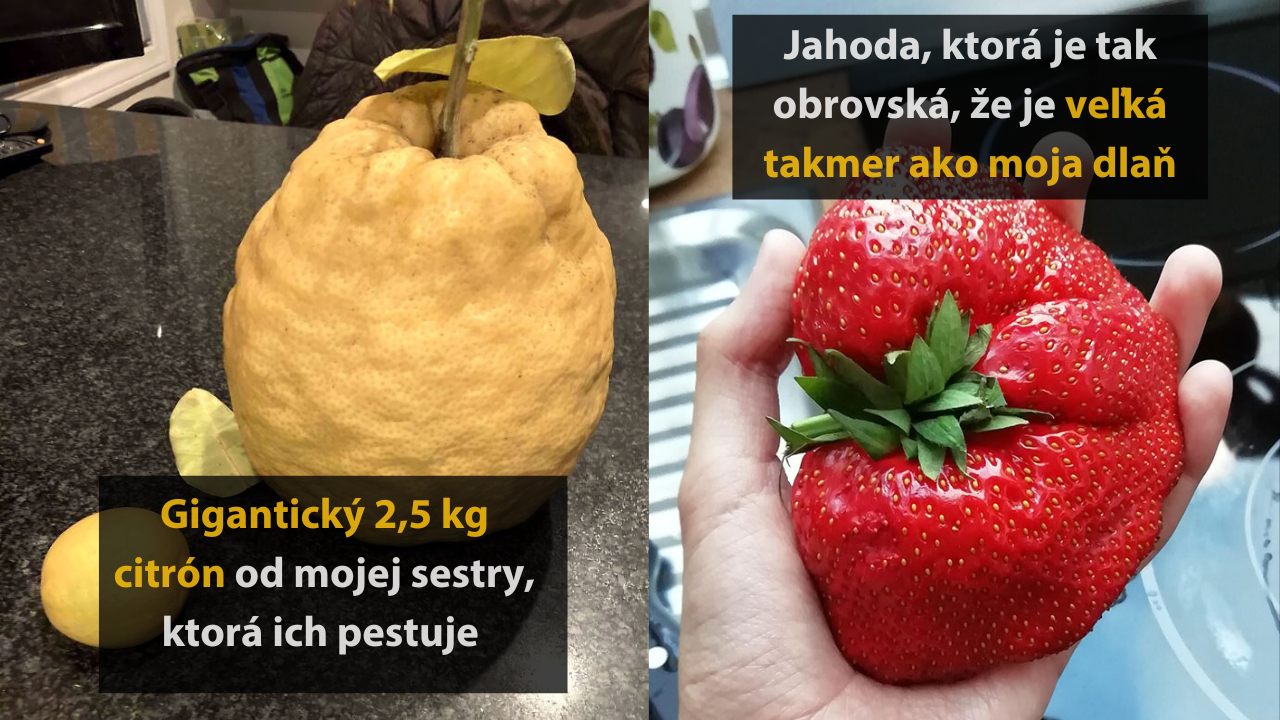 15 obrázkov, ktoré možno opísať ako jackpot v potravinovej lotérii #1