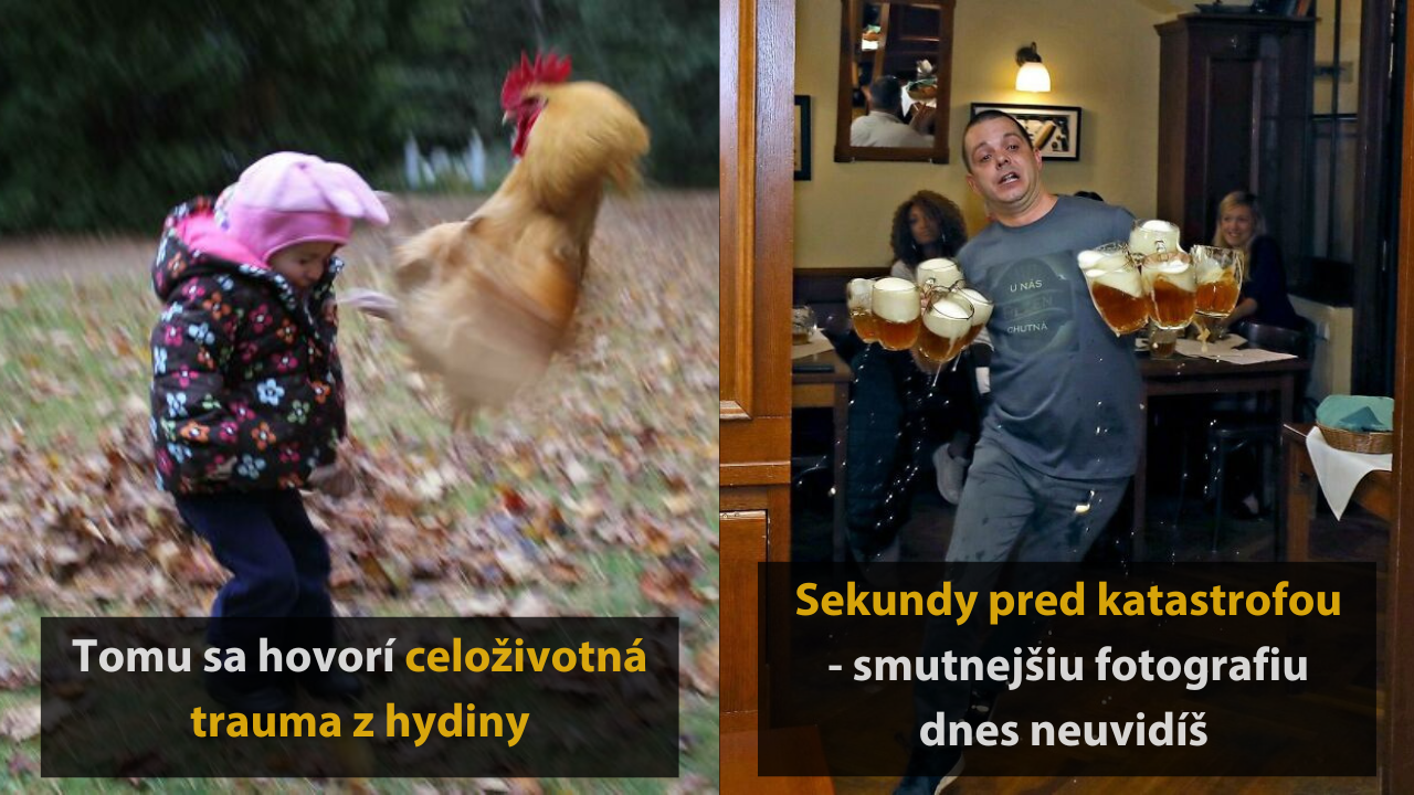 15 fotografií, ktoré určite patria medzi najvtipnejšie momentky #2