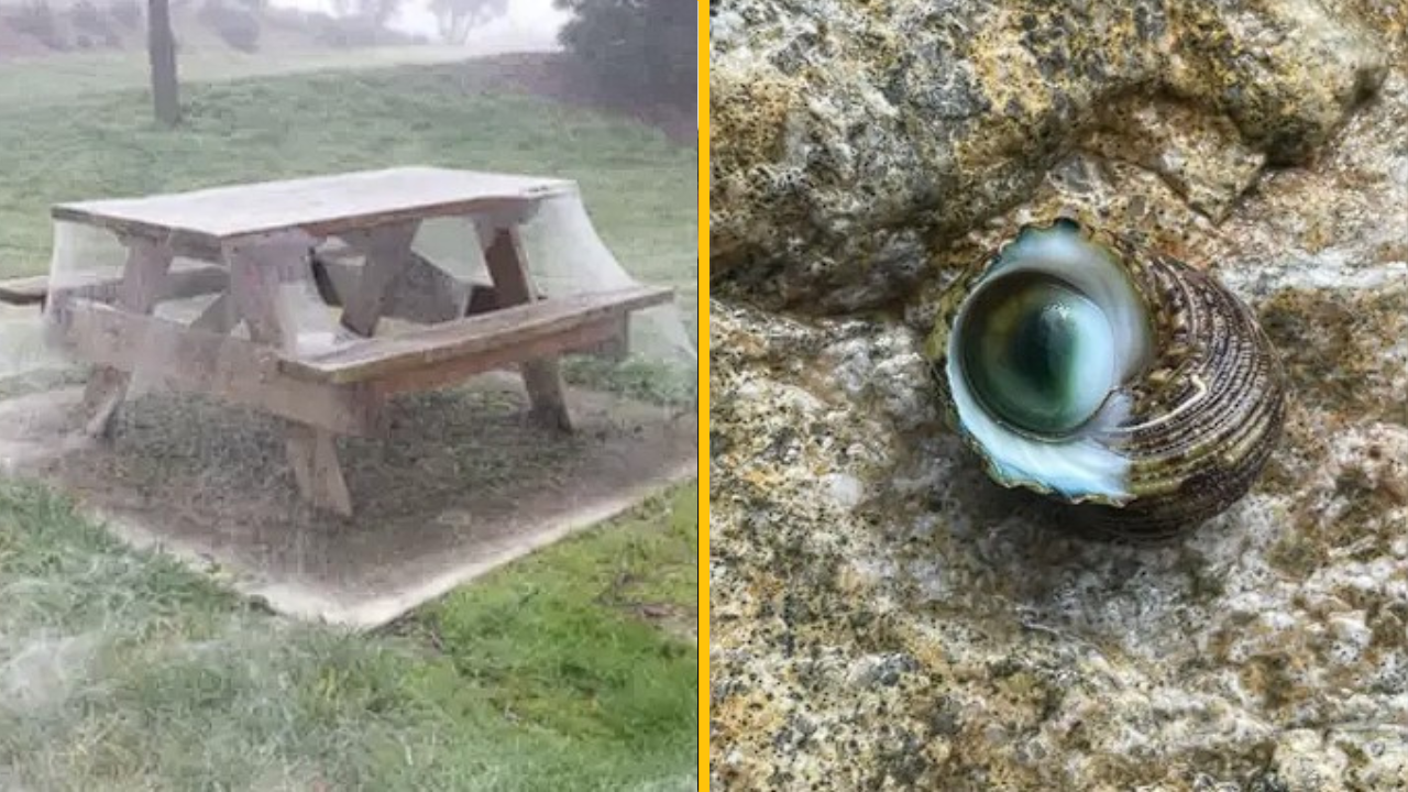 10 fotografií, ktoré vo vás zanechajú zvláštny nepokoj