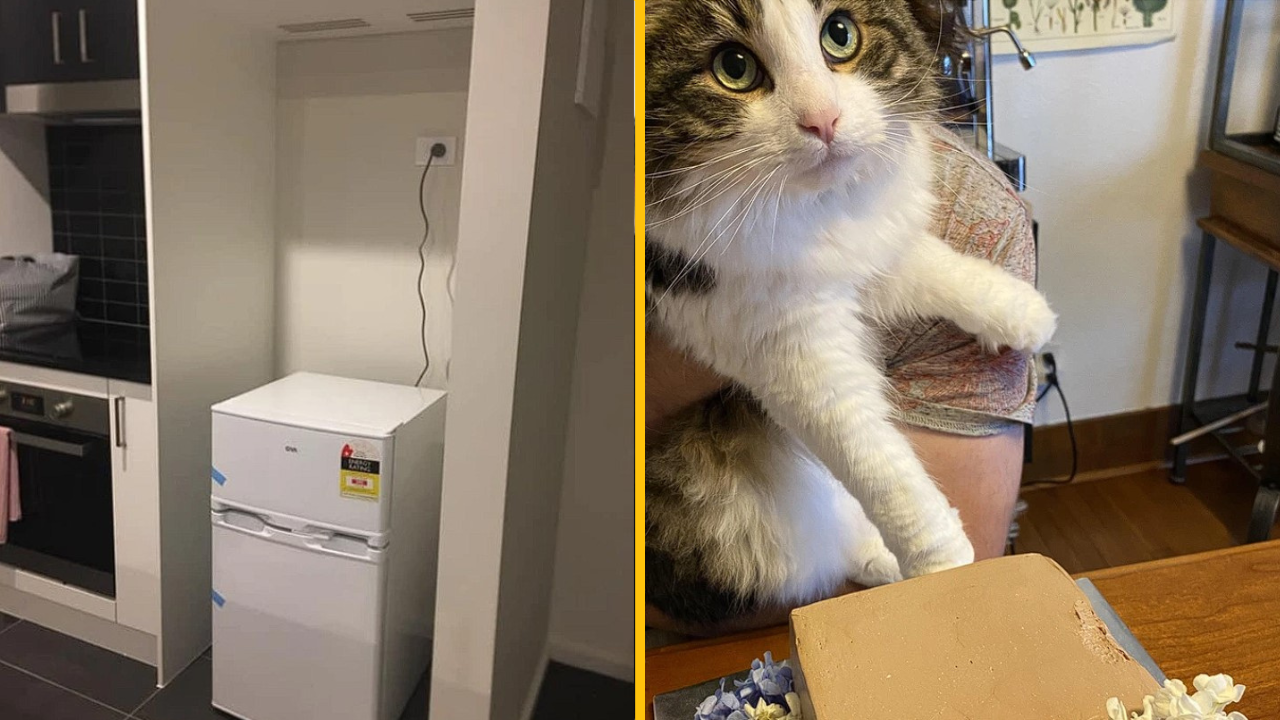 Tieto fotografie vás zaručene rozosmejú