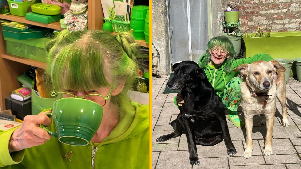 Zelená pani z Brooklynu pozná len jednu farbu. Jediné, čo u nej doma nie je zelené, sú jej psy
