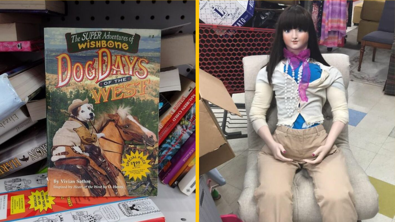 11 vecí, ktoré ľudia kúpili z druhej ruky a boli z nich nadšení (2. časť)