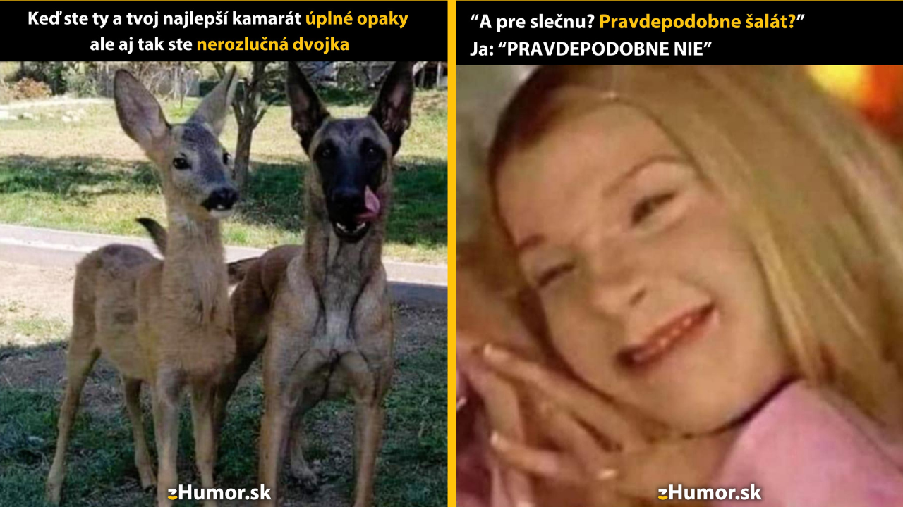 Zopár memečiek, ktoré vznikli, aby ti spríjemnili deň #1407: Aj tak by som ťa nevymenil.