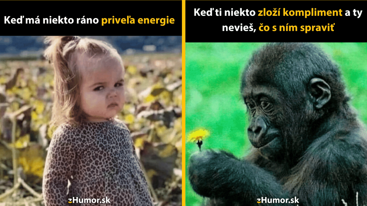 10 memečiek, ktoré ťa vytrhnú z pazúrov nudy