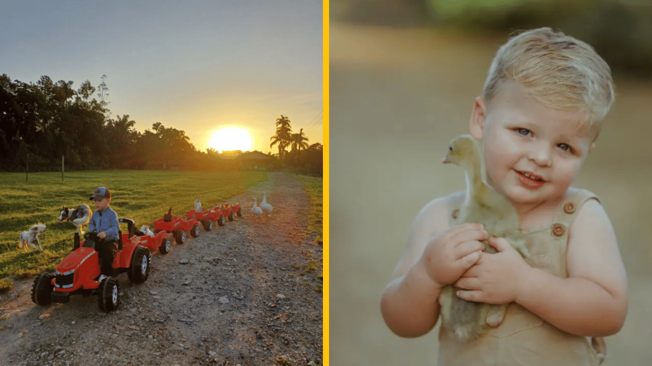 Malý chlapec vozí zvieratká z farmy na svojom malom traktore – pred každou jazdou ich všetky vybozkáva