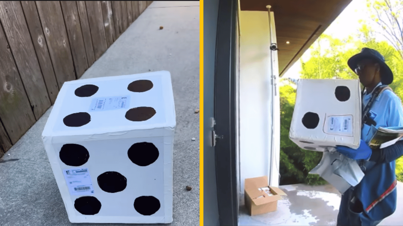 Muž spravil z krabice hraciu kocku a poslal ju poštou kamarátovi, aby videl, ktorým číslo dopadne pred dvere po doručení