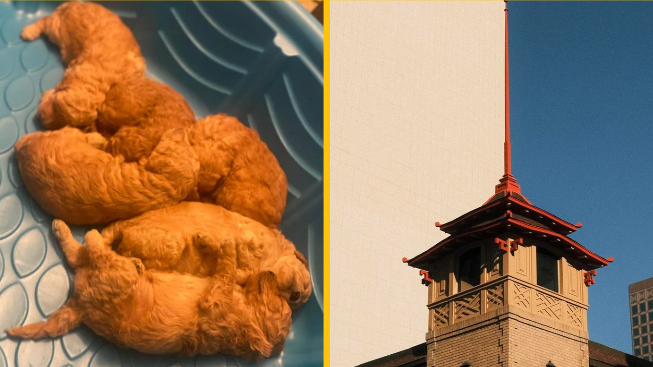 Na týchto fotografiách nie je nič nezvyčajné. Pokiaľ sa nezačnete pozerať zblízka