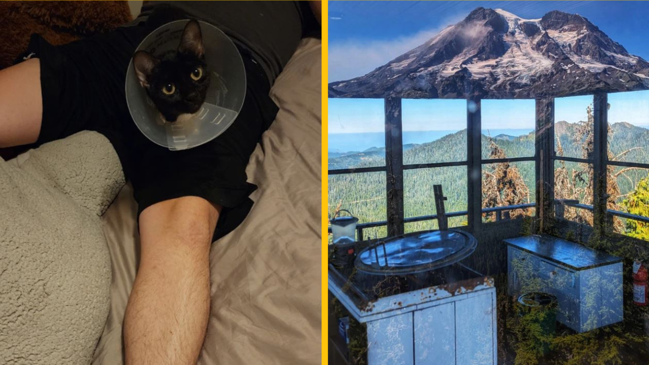 18 dôkazov, že nie vždy môžete dôverovať vlastným očiam