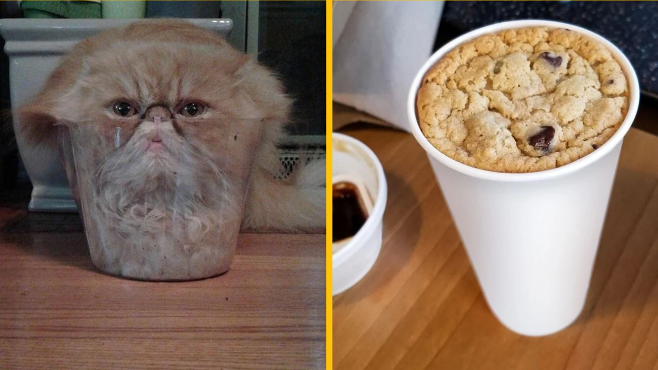 16 vecí, ktoré do seba zapadajú tak dokonale, že váš vnútorný perfekcionista bude šťastný