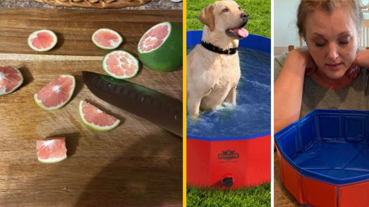 18 ľudí, ktorých očakávania boli zdrvené, keď otvorili svoje zásielky