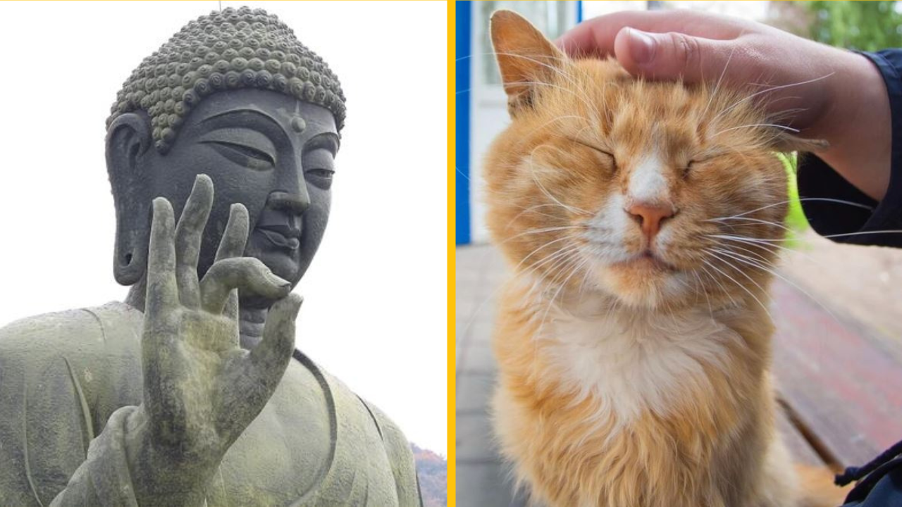 12 bláznivých náhodných faktov, ktoré vás prinútia prehodnotiť život