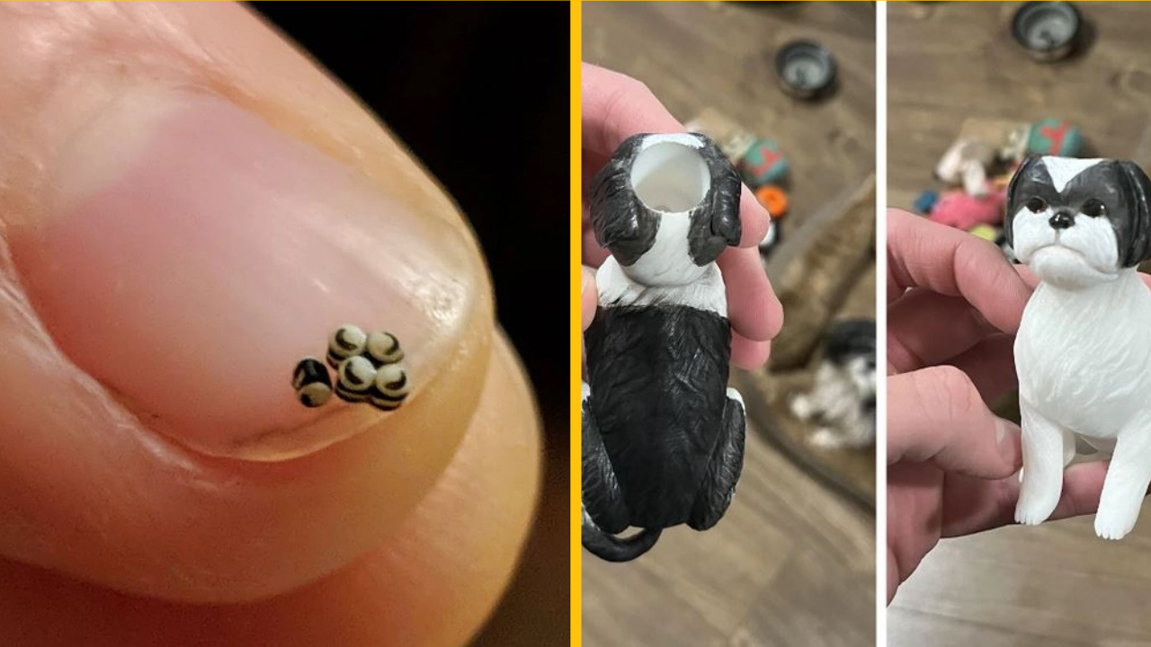 17 záhadných vecí, ktoré sa ľudia na internete snažili dekódovať