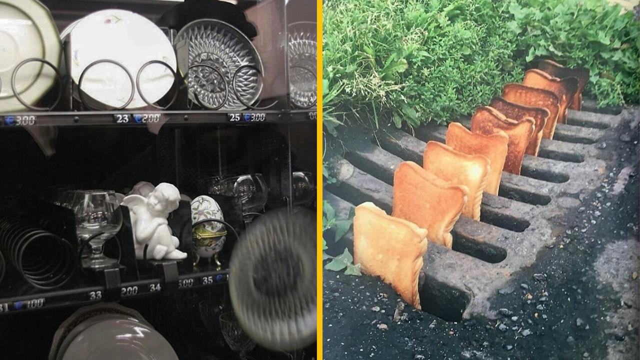 13 chaotických fotografií, ktoré sú tak náhodné až sú vtipné