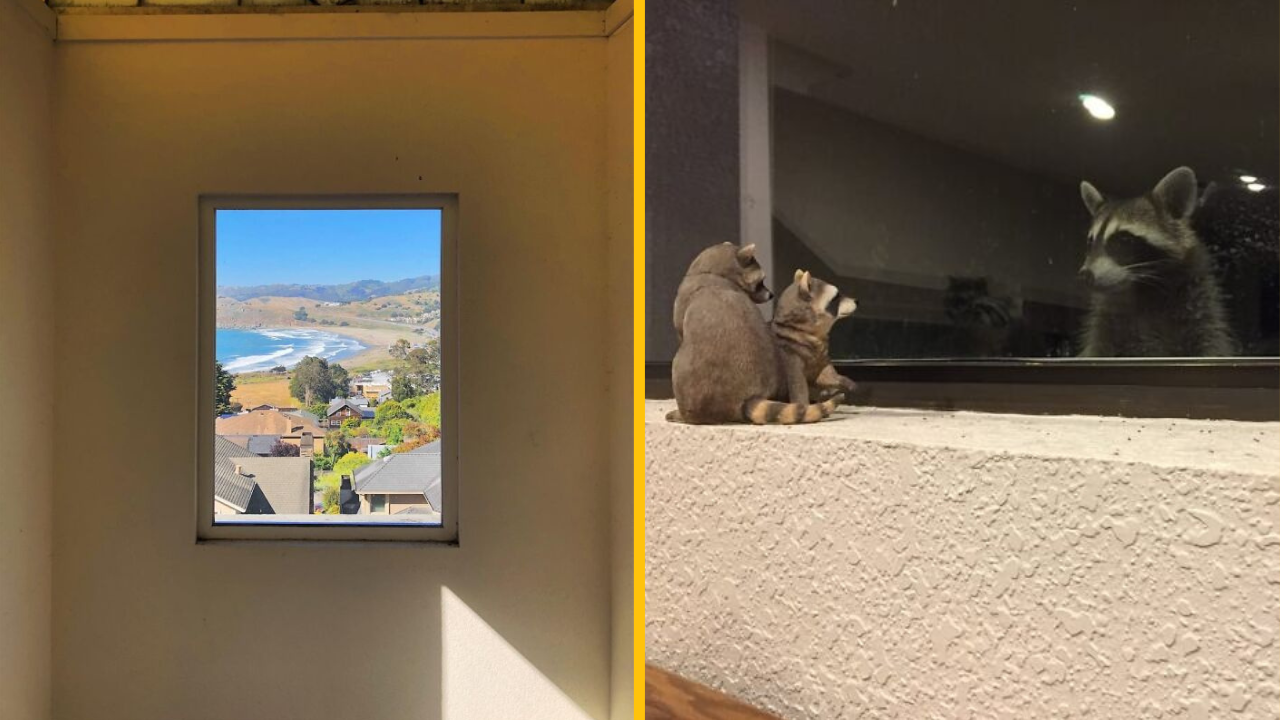 Týchto 10 ľudí sa pozrelo z okna a uvideli niečo neskutočné (1. časť)