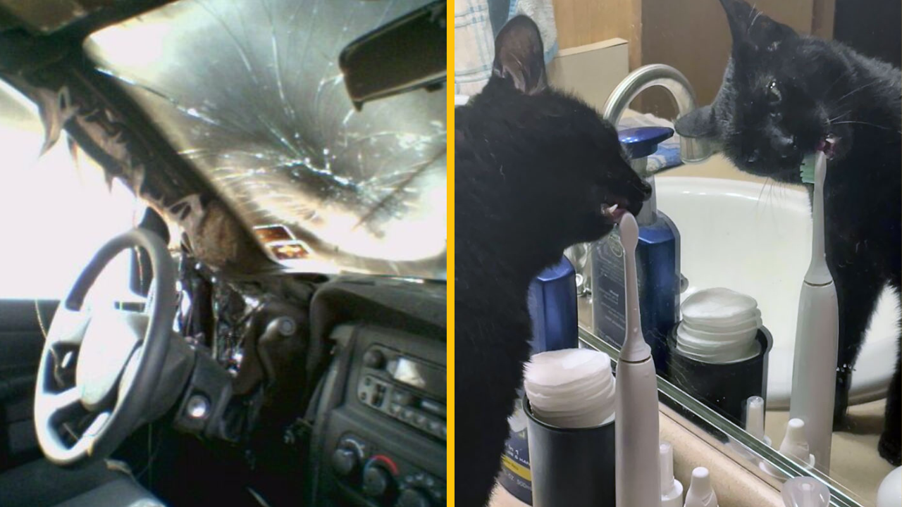 Týchto 11 ľudí má určite horší deň ako vy (2. časť)