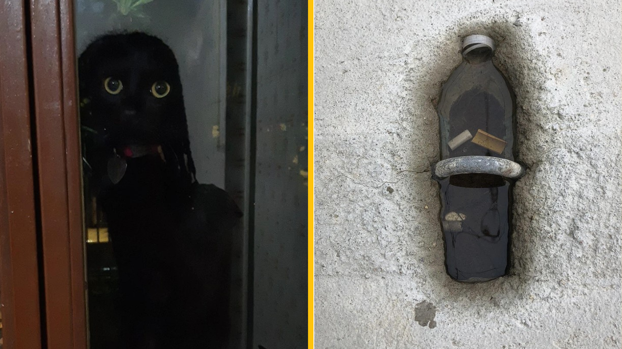 Týchto 10 fotografií jednoducho musíte vidieť