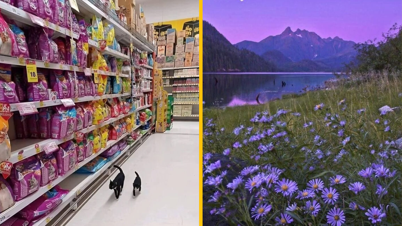 10 fotografií, ktoré vám zlepšia deň (1. časť)